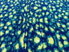 Silicone Printing Eco-Friendly Color Plastisol for Clothing Ink